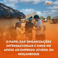 O Papel Das Organizações Internacionais E Ongs No Apoio Ao Emprego Juvenil Em Moçambique